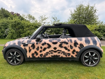Used MINI Convertible 2008 for sale - 78530510: Photo