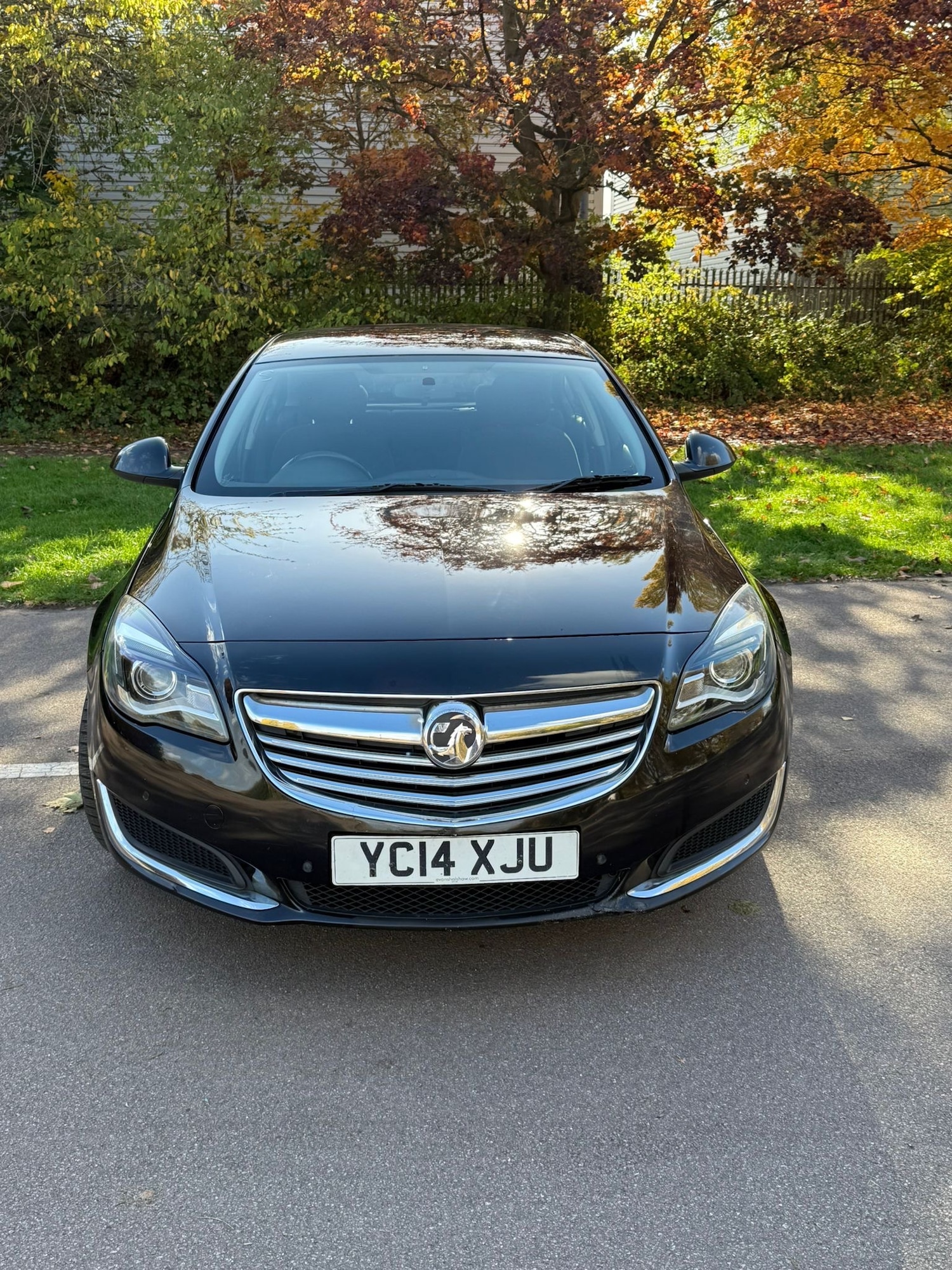 Used Vauxhall Insignia 2014 for sale - 76362508: Photo 3