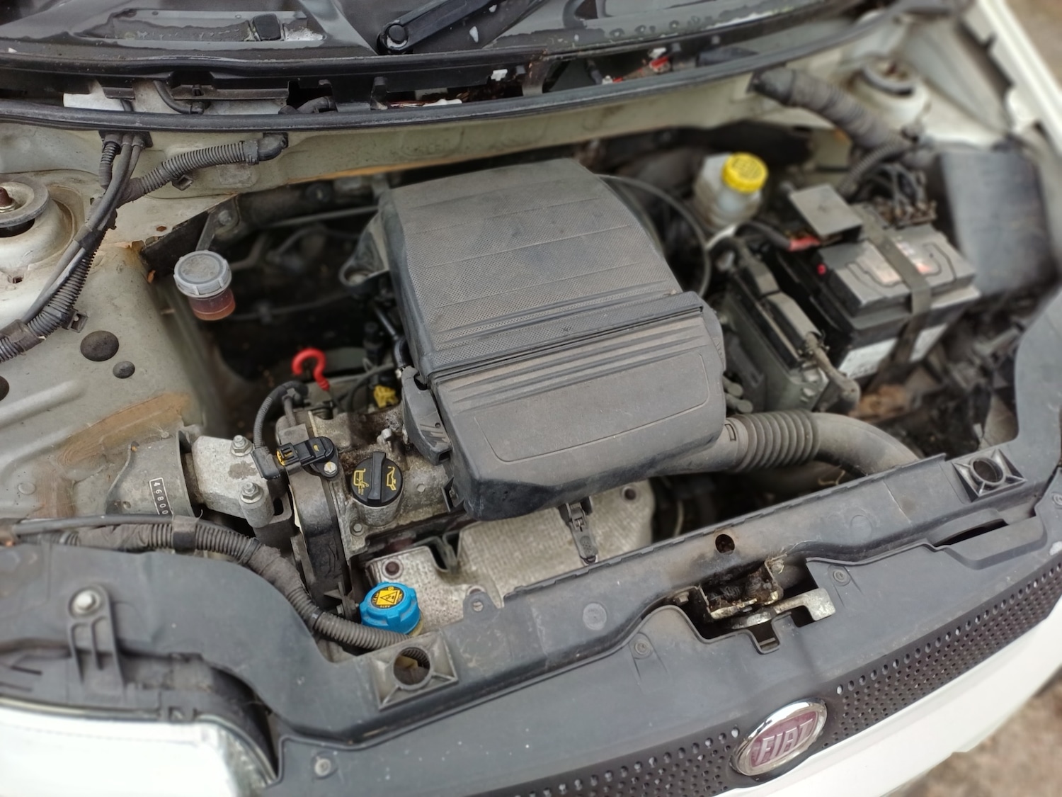 Used Fiat Panda 2009 for sale - 77417379: Photo 12