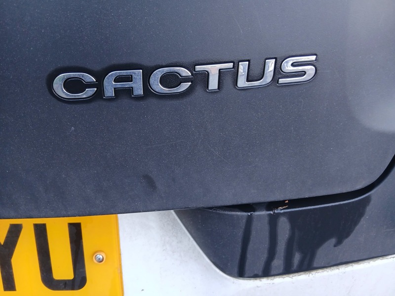 Used Citroen C4 Cactus 2015 for sale - 77250992: Photo 13