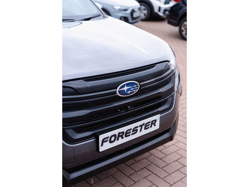 Used Subaru Forester for sale - 77902476: Photo 11