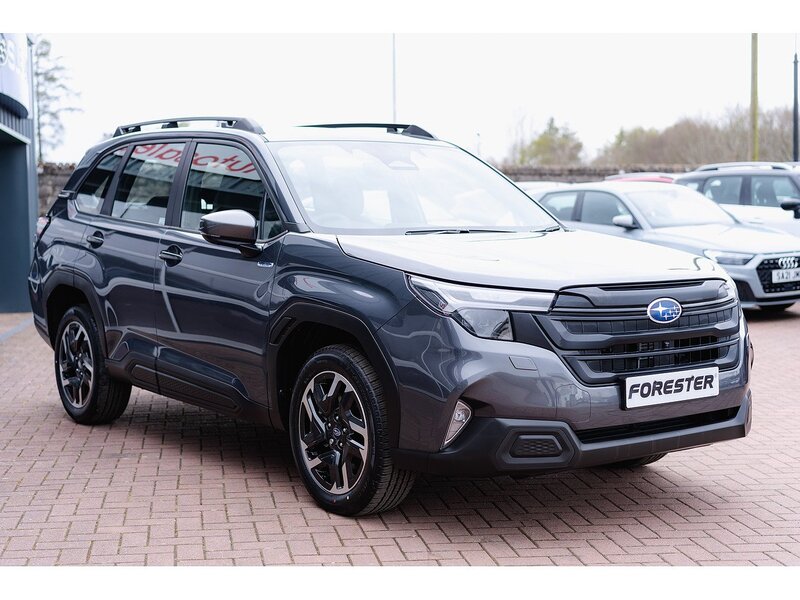 Used Subaru Forester for sale - 77902476: Photo 5