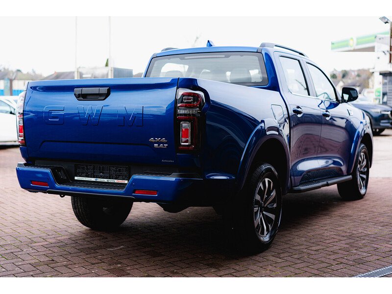 Used GWM POER300 for sale - 77937350: Photo 8