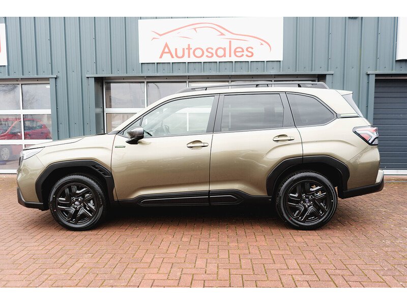 Used Subaru Forester for sale - 77805782: Photo 10