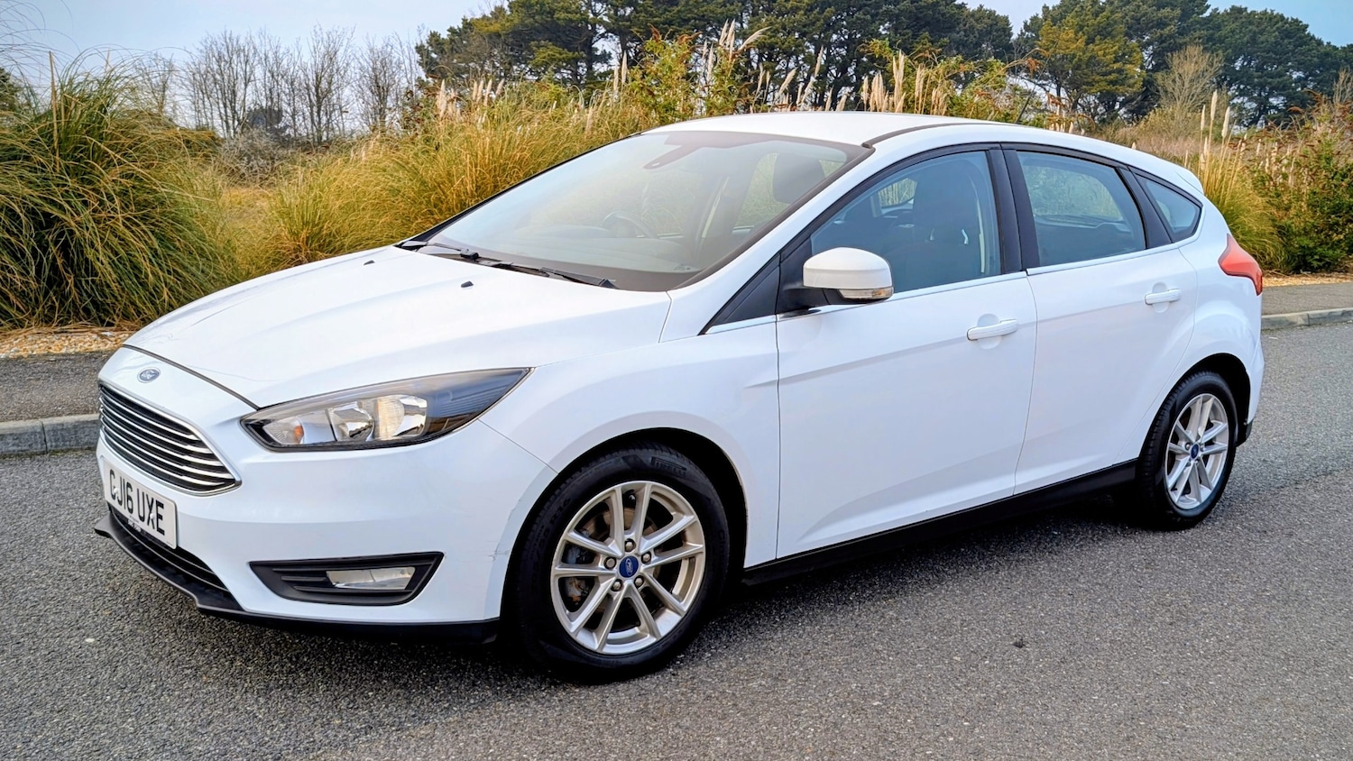 Used Ford Focus 2016 for sale - 77998485: Photo 12