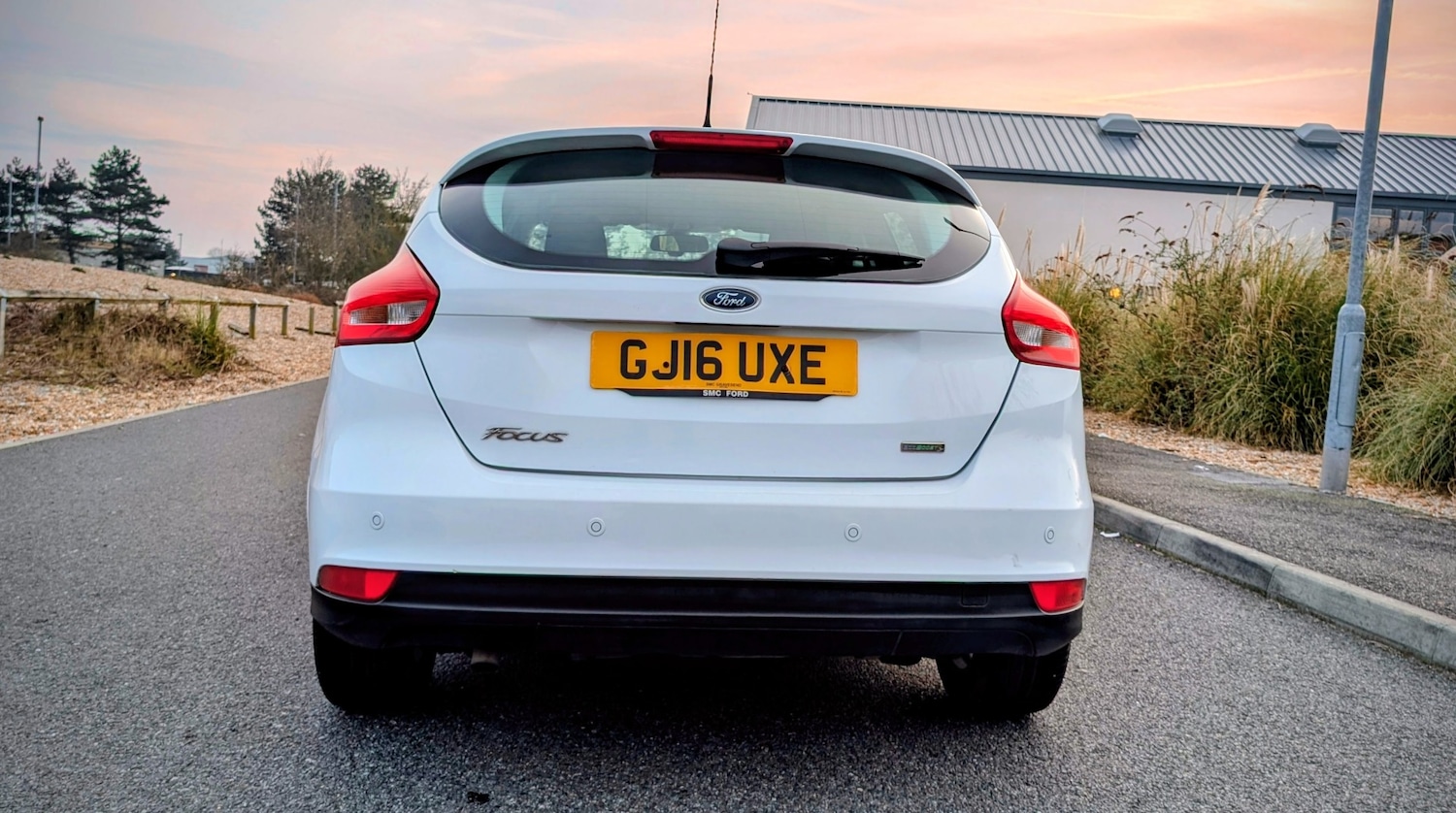 Used Ford Focus 2016 for sale - 77998485: Photo 15