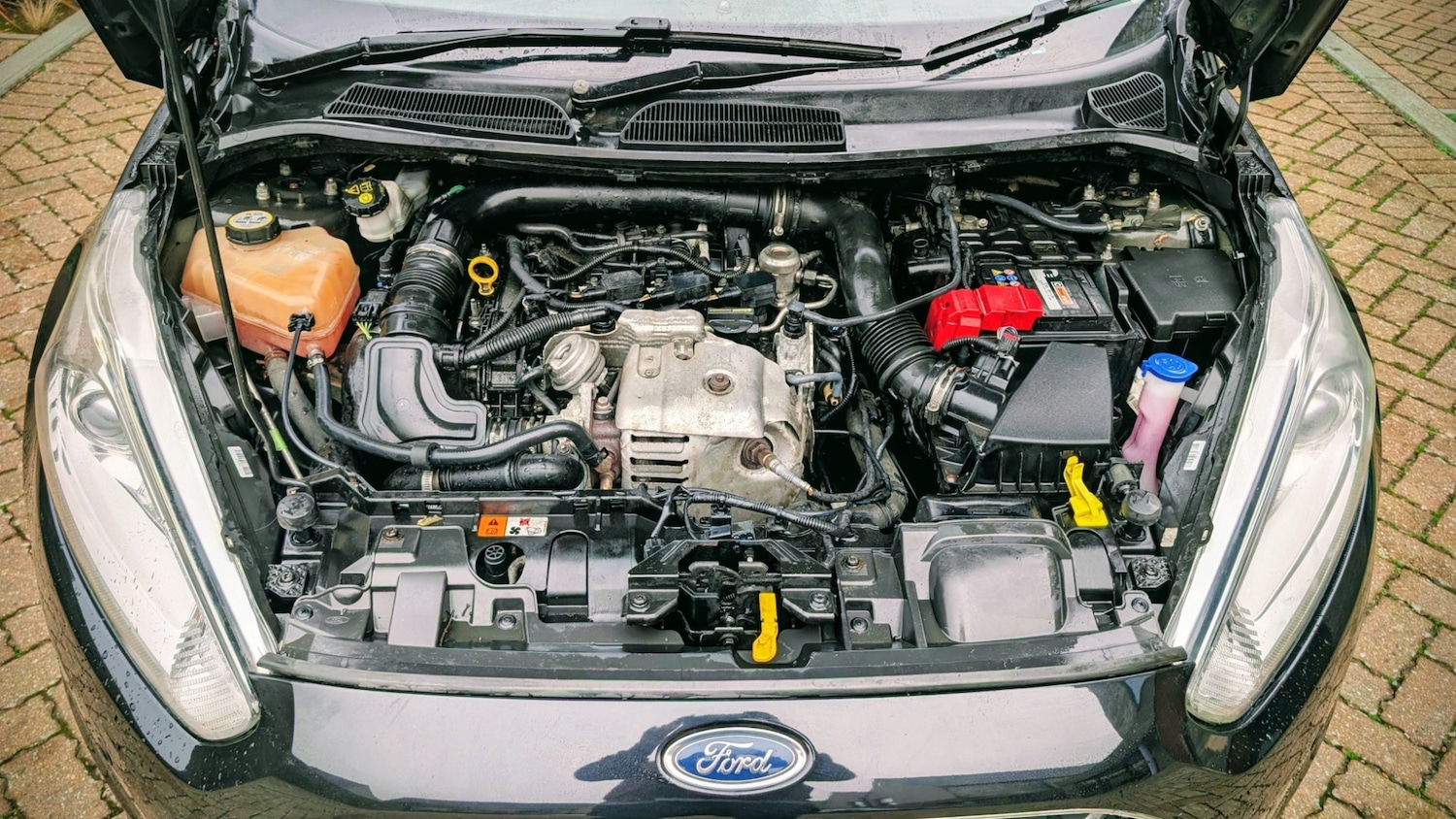 Used Ford Fiesta 2013 for sale - 77420297: Photo 23