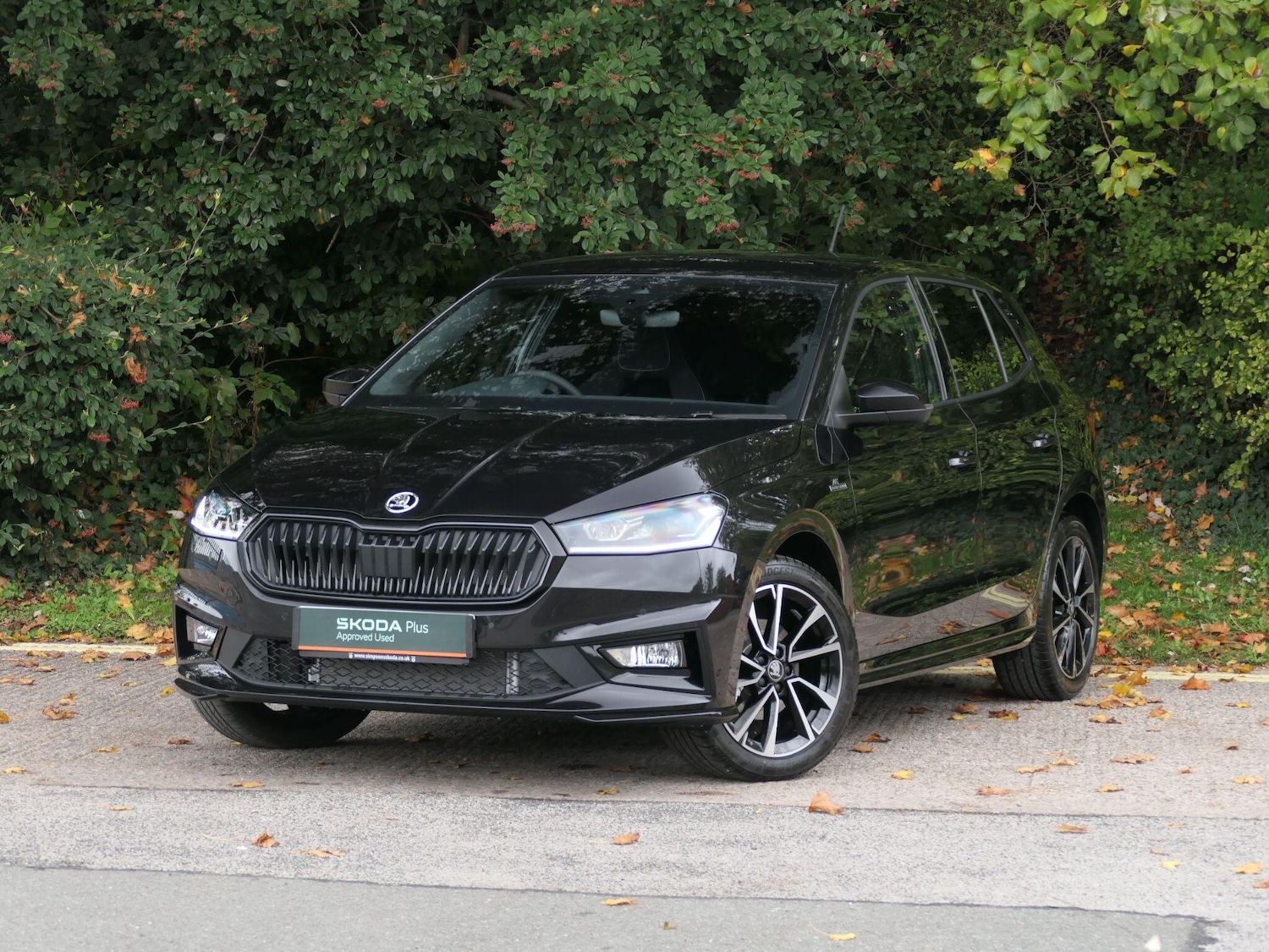 Used Skoda Fabia 2025 for sale - 76360867: Photo 18