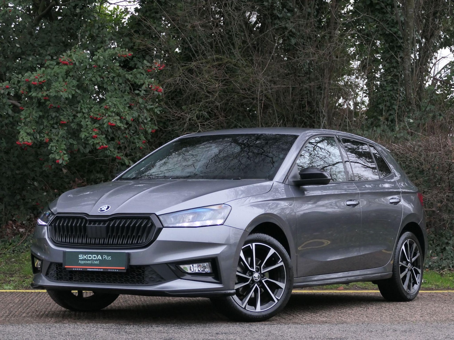 Used Skoda Fabia 2024 for sale - 77119690: Photo 11