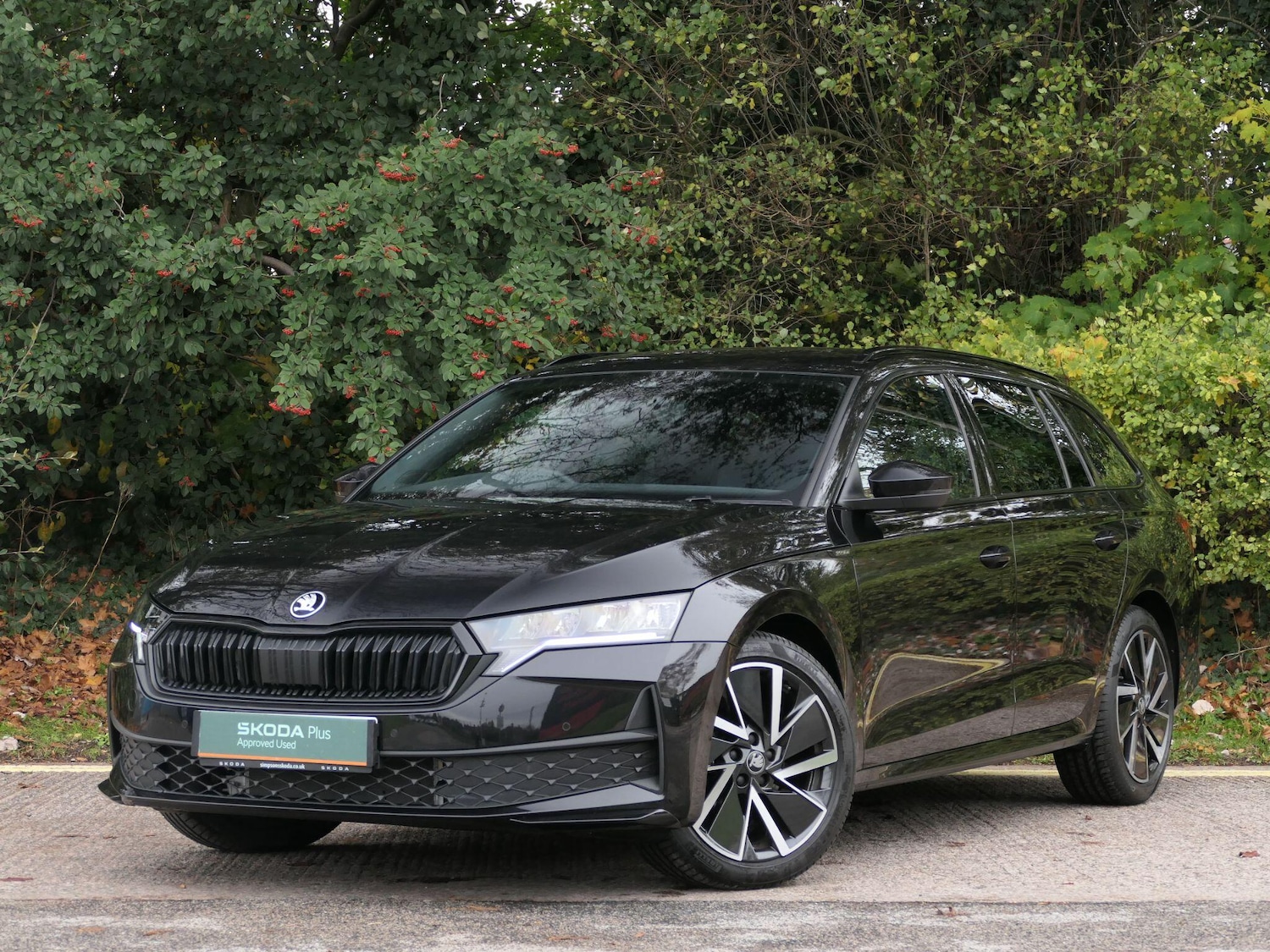 Used Skoda Octavia 2025 for sale - 76539142: Photo 15