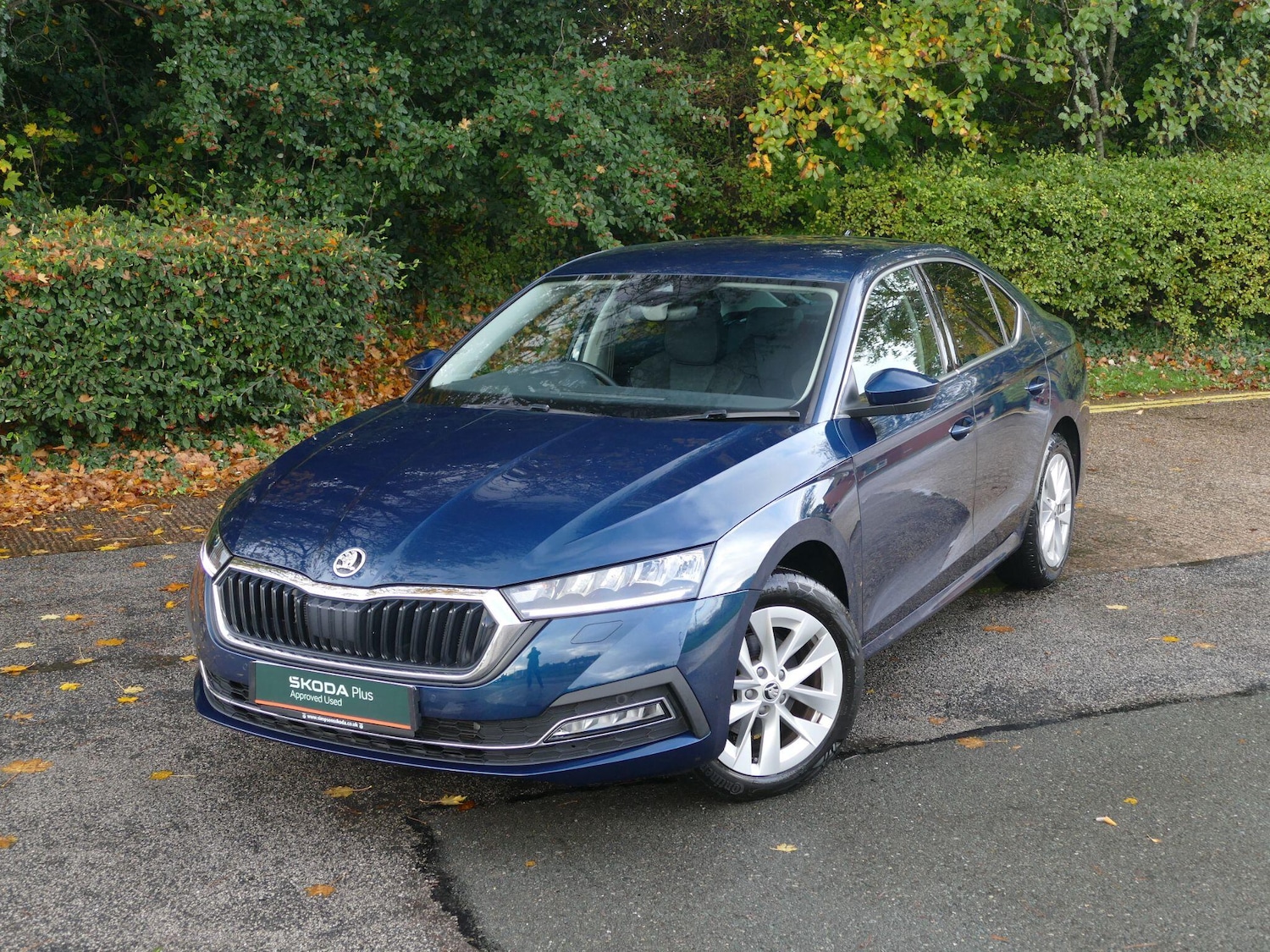 Used Skoda Octavia 2023 for sale - 76360477: Photo 13