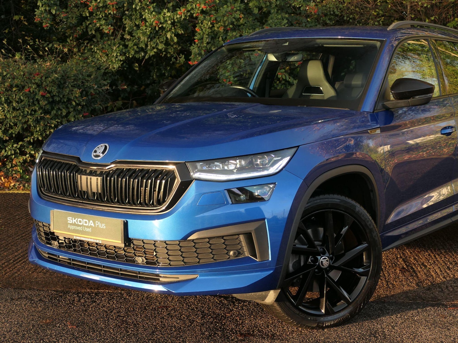 Used Skoda Kodiaq 2022 for sale - 76456648: Photo 16