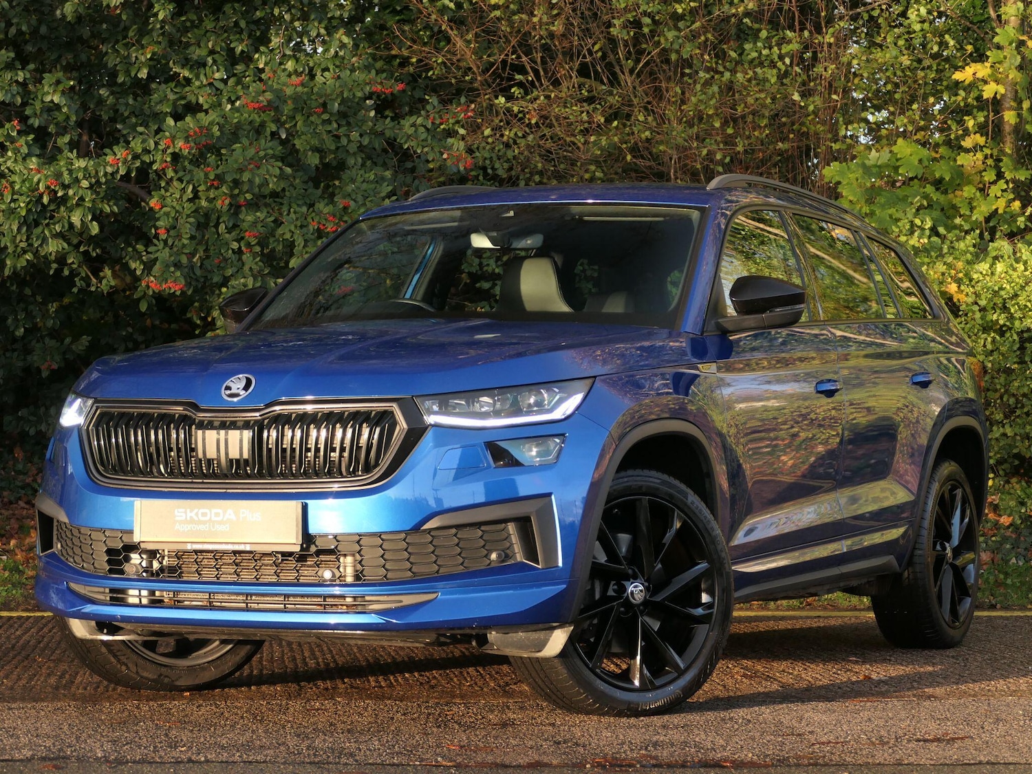 Used Skoda Kodiaq 2022 for sale - 76456648: Photo 17