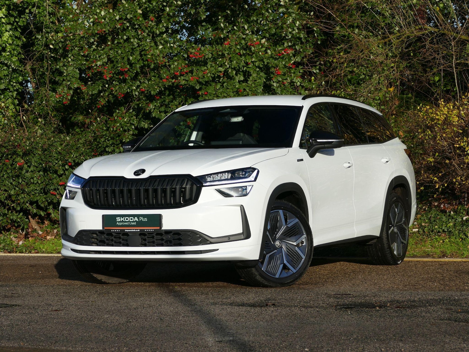 Used Skoda Kodiaq 2025 for sale - 76781103: Photo 17