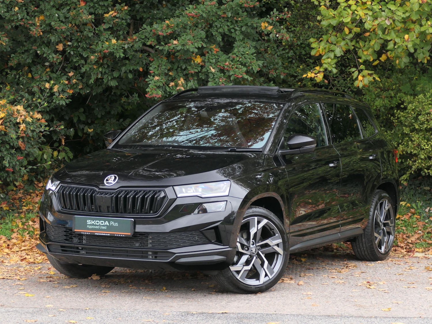 Used Skoda Karoq 2025 for sale - 76360246: Photo 16