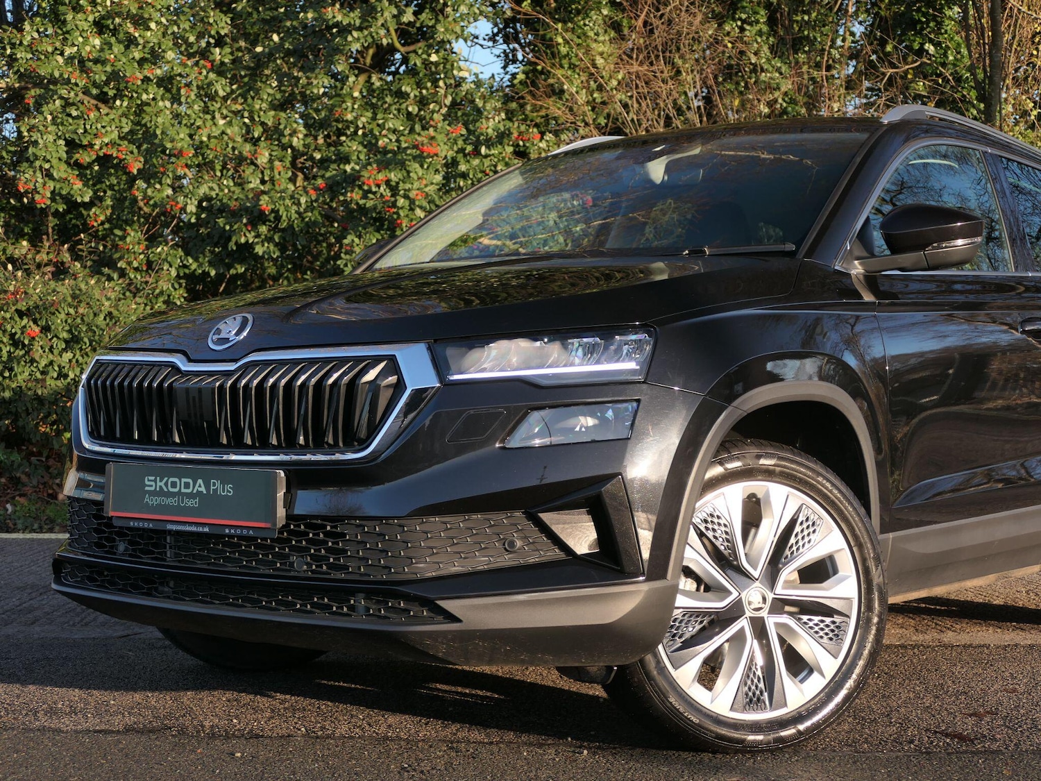 Used Skoda Karoq 2025 for sale - 76802100: Photo 18