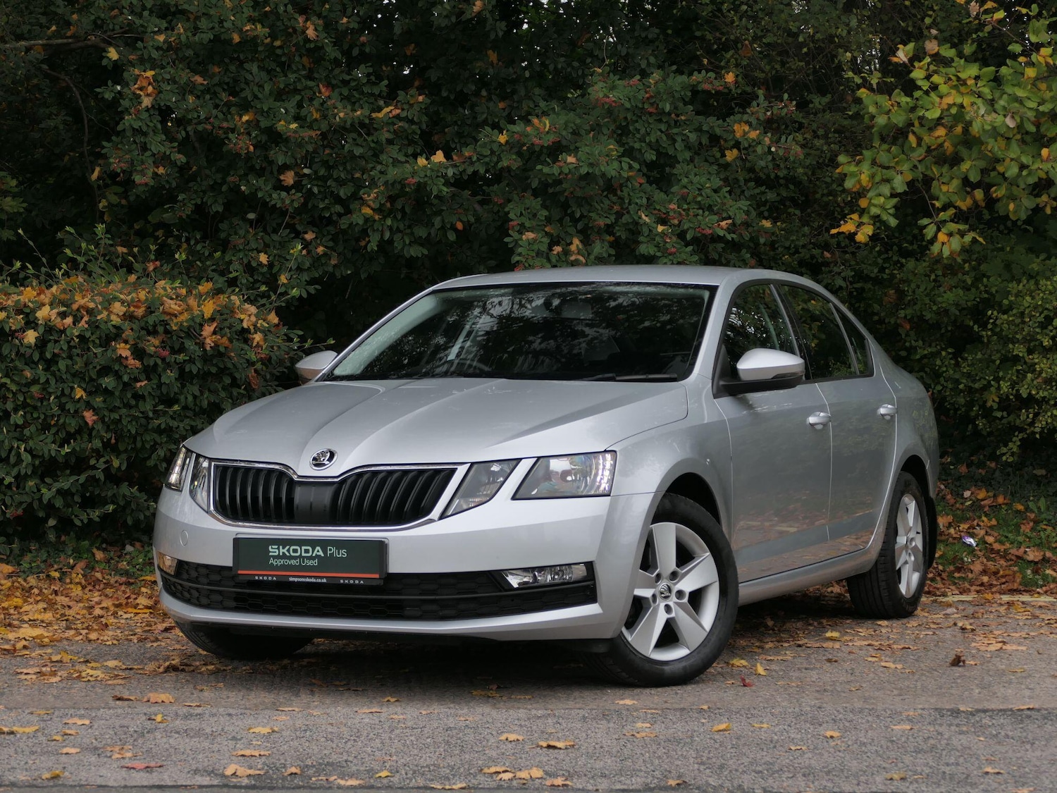 Used Skoda Octavia 2019 for sale - 76360521: Photo 17