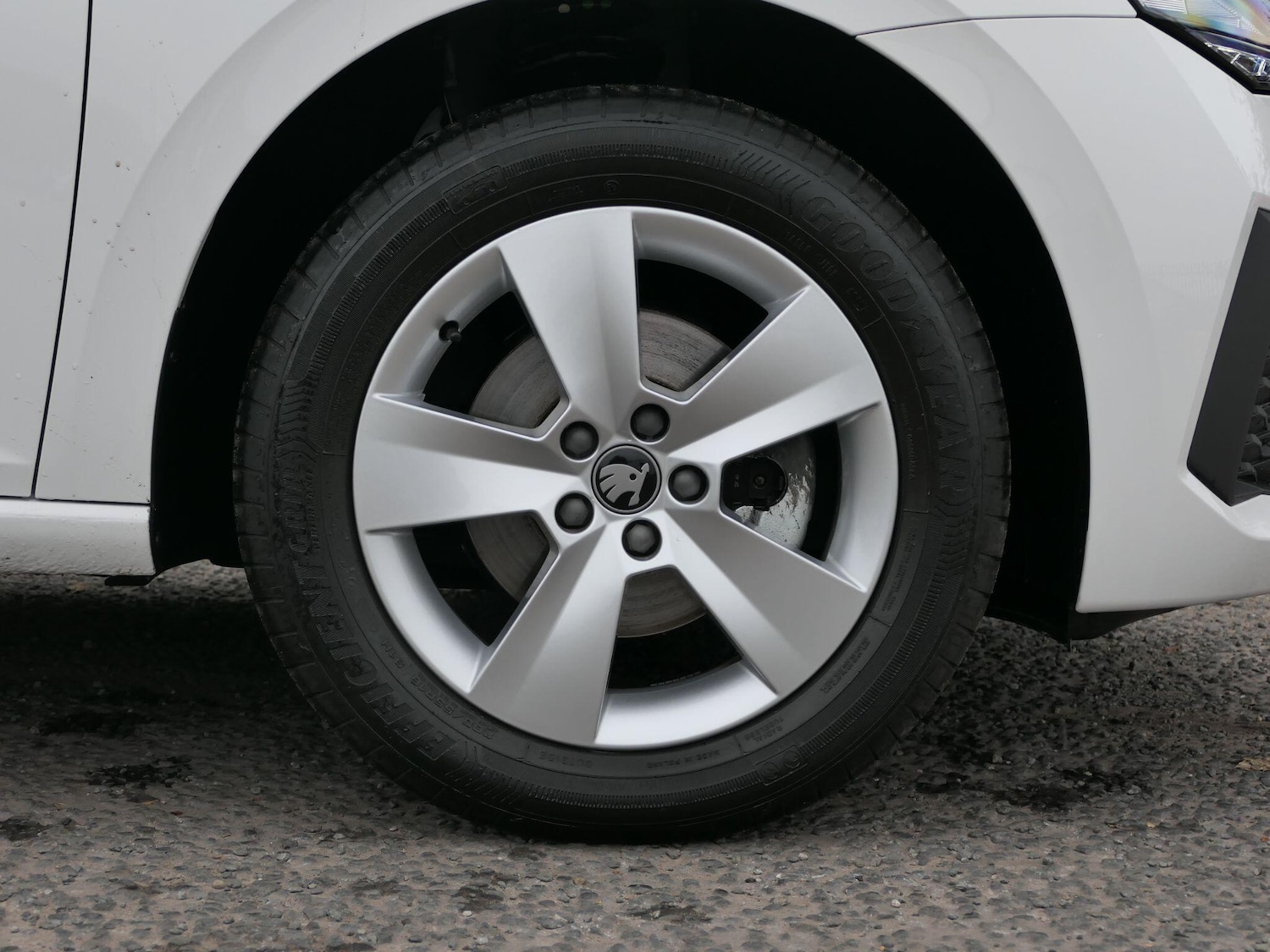 Used Skoda Scala 2025 for sale - 76360051: Photo 25