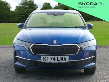 Used Skoda Octavia 2025 for sale - 76360681: Photo
