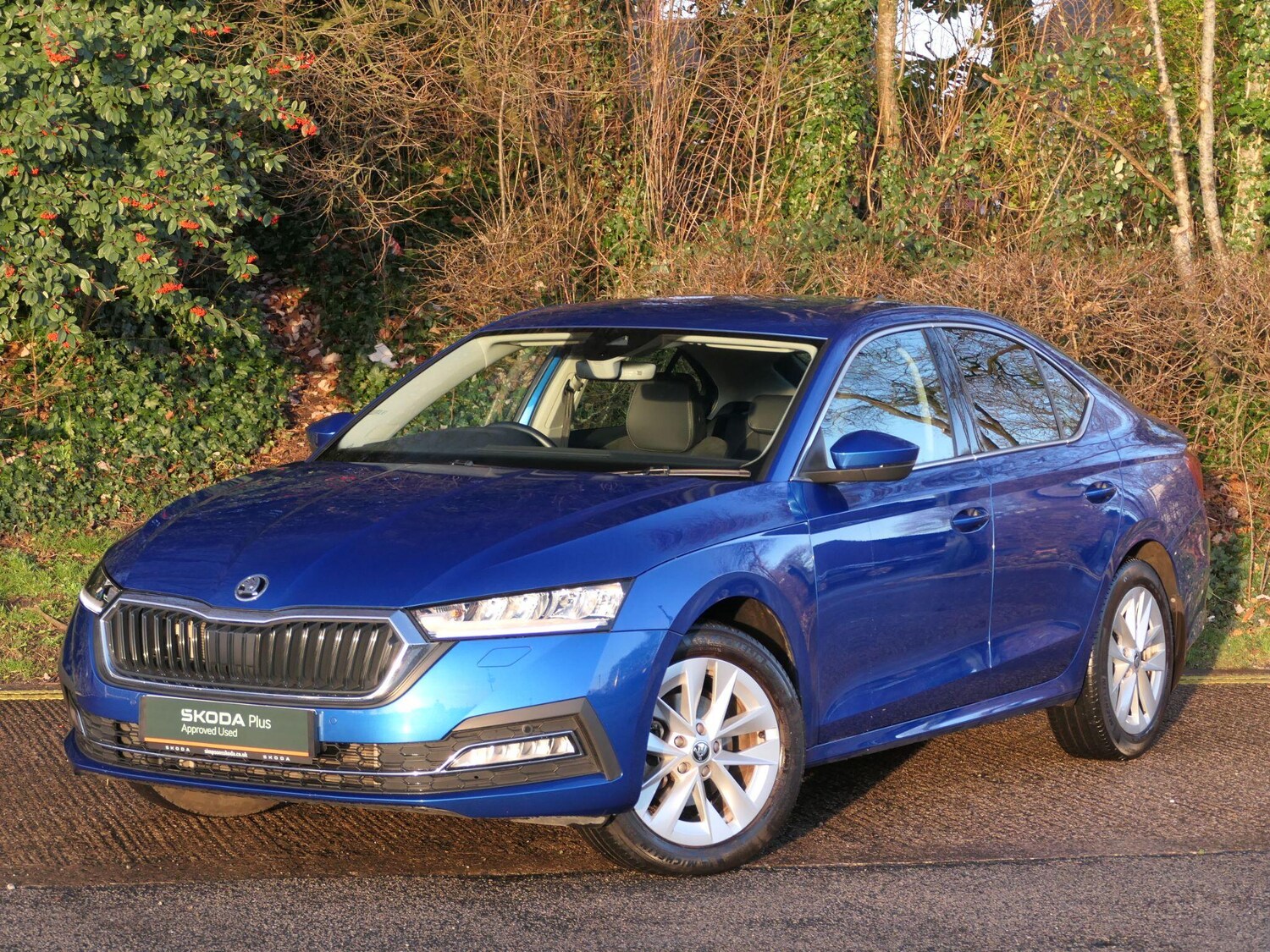 Used Skoda Octavia 2023 for sale - 76952633: Photo 14