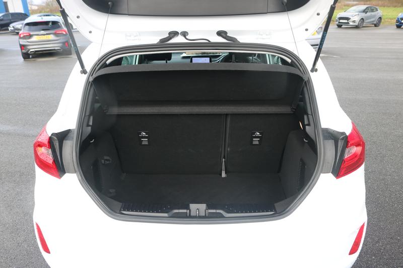 Used Ford Fiesta 2020 for sale - 76355496: Photo 19