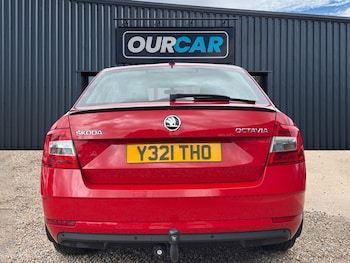 Used Skoda Octavia 2019 for sale - 79142074: Photo