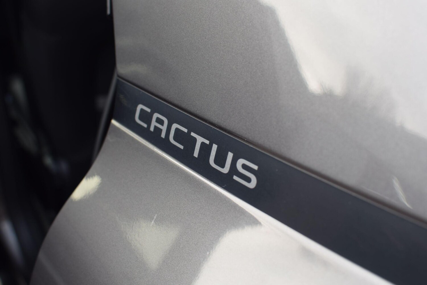 Used Citroen C4 Cactus 2019 for sale - 77039764: Photo 45