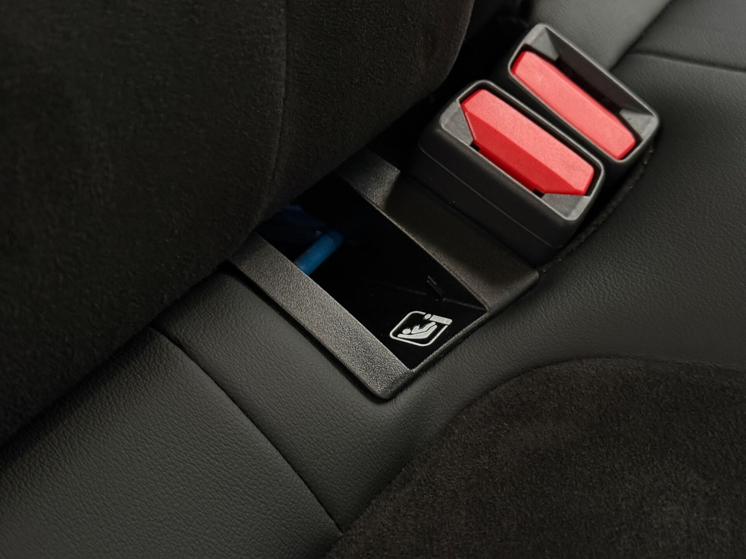 Used Ford Focus 2024 for sale - 77533824: Photo 10