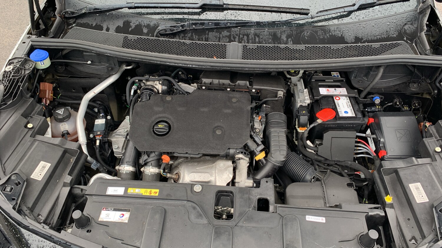 Used Peugeot 3008 2020 for sale - 76168025: Photo 18