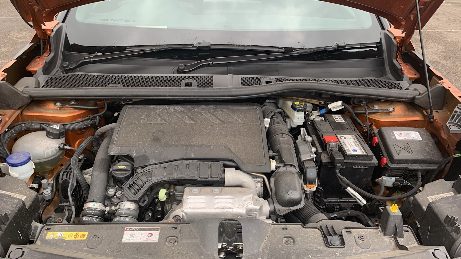 Used Peugeot 2008 2022 for sale - 76586421: Photo 18