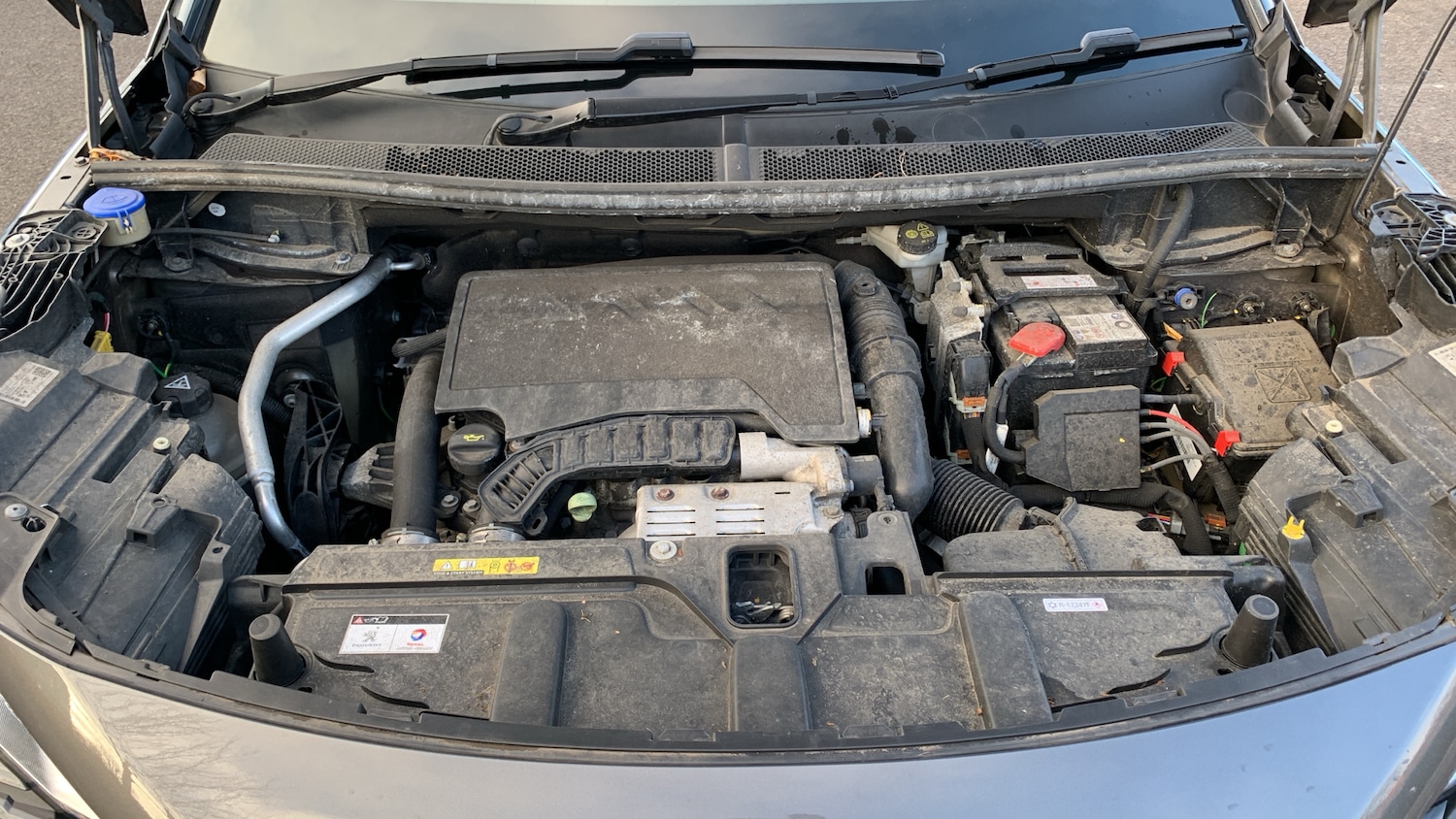 Used Peugeot 5008 2022 for sale - 77121169: Photo 19