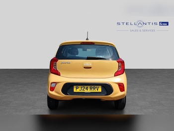 Used Kia Picanto 2024 for sale - 79133238: Photo
