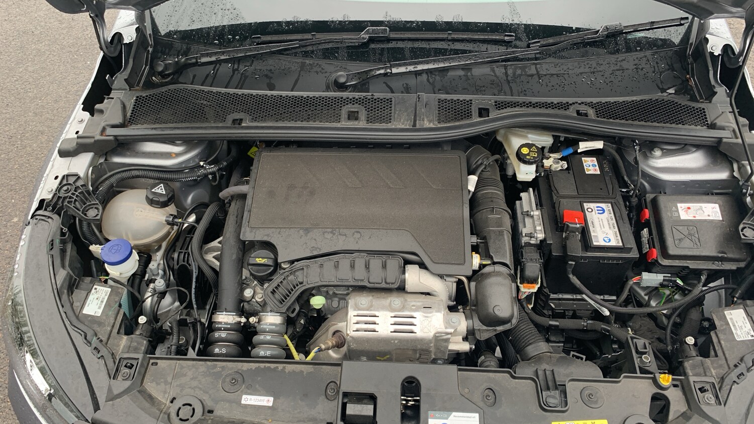 Used Peugeot 208 2024 for sale - 76086056: Photo 18