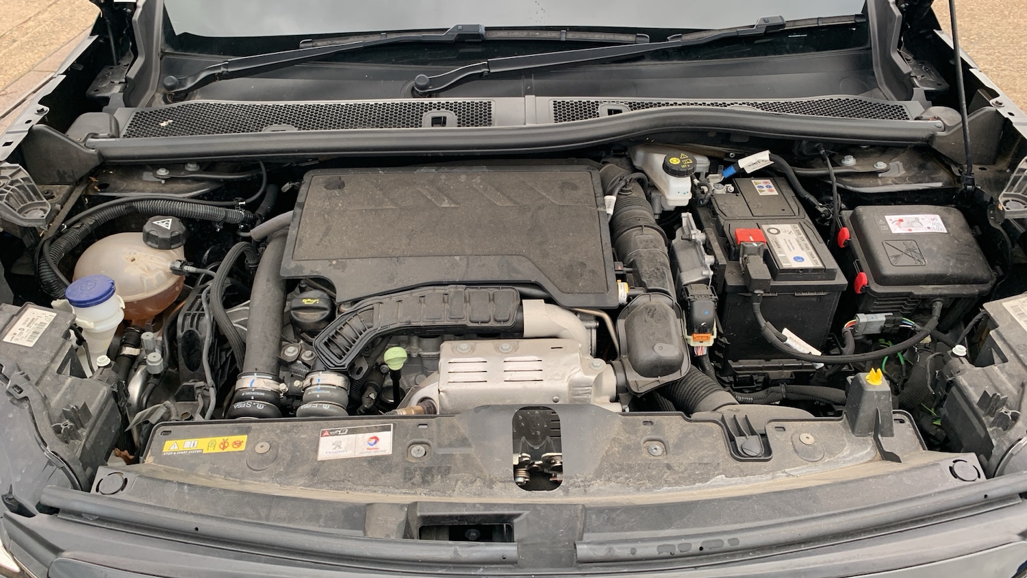 Used Peugeot 2008 2022 for sale - 76744084: Photo 18