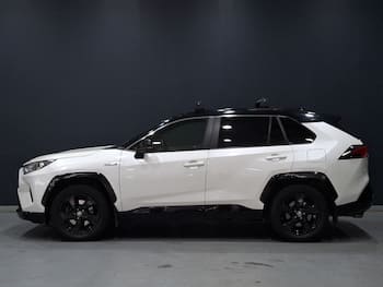 Used Toyota RAV4 2019 for sale - 79650704: Photo
