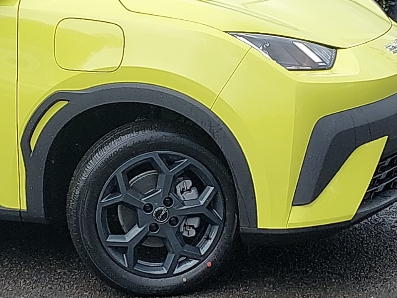 Used BYD Dolphin 2025 for sale - 76556431: Photo 9