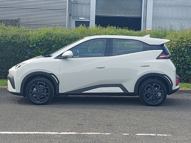 Used BYD Dolphin 2025 for sale - 76556116: Photo 4