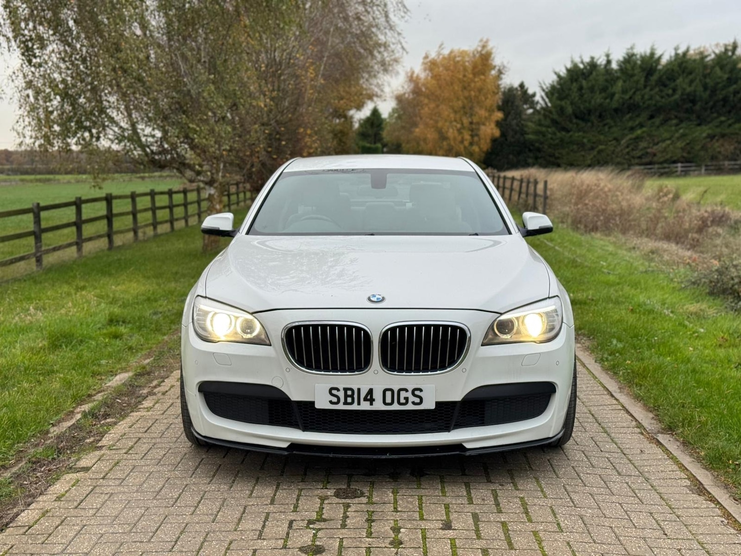 Used BMW 7 Series 2014 for sale - 76544687: Photo 11