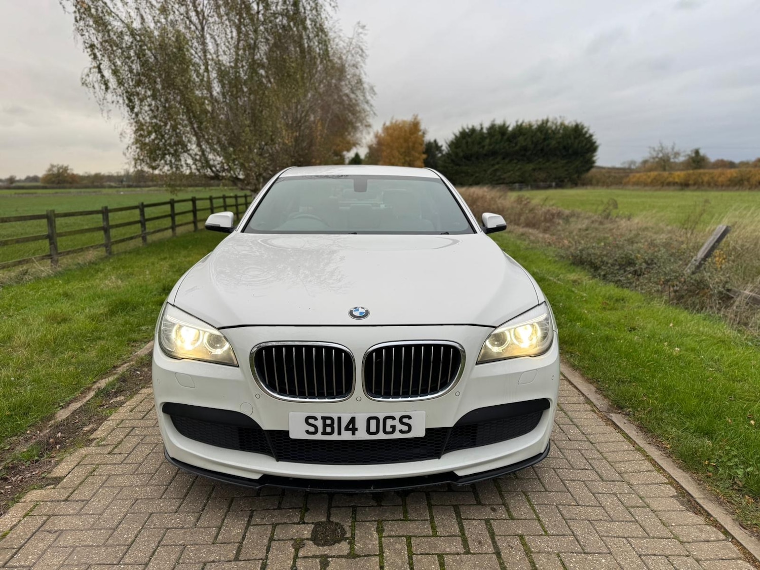 Used BMW 7 Series 2014 for sale - 76544687: Photo 13