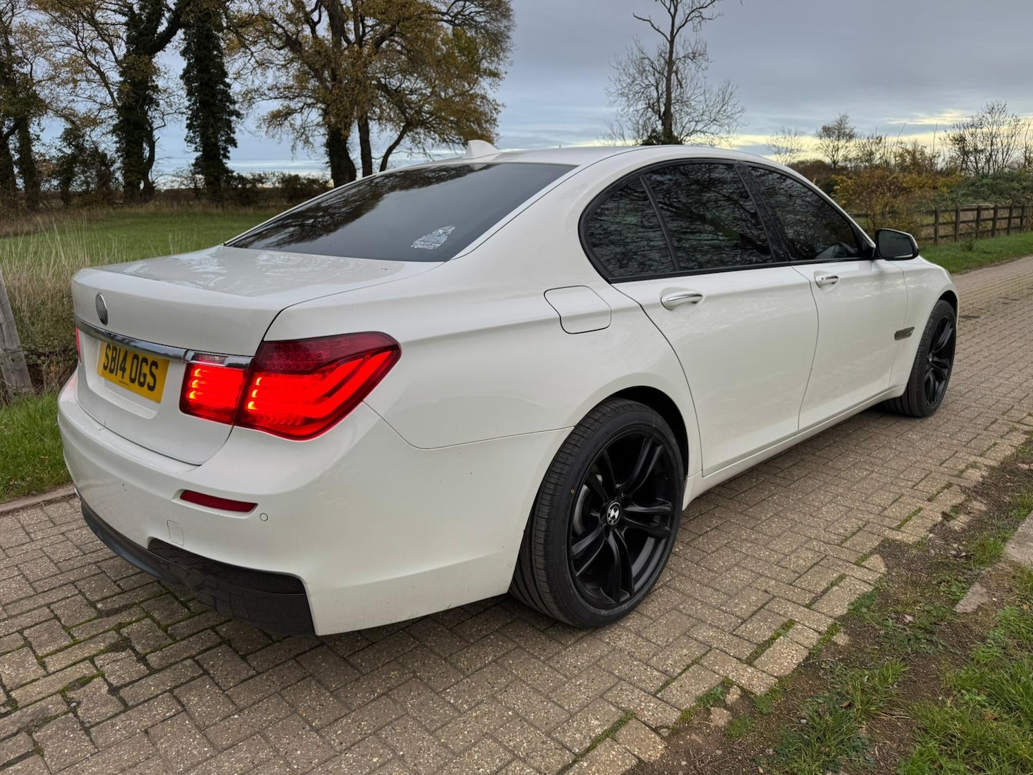 Used BMW 7 Series 2014 for sale - 76544687: Photo 3