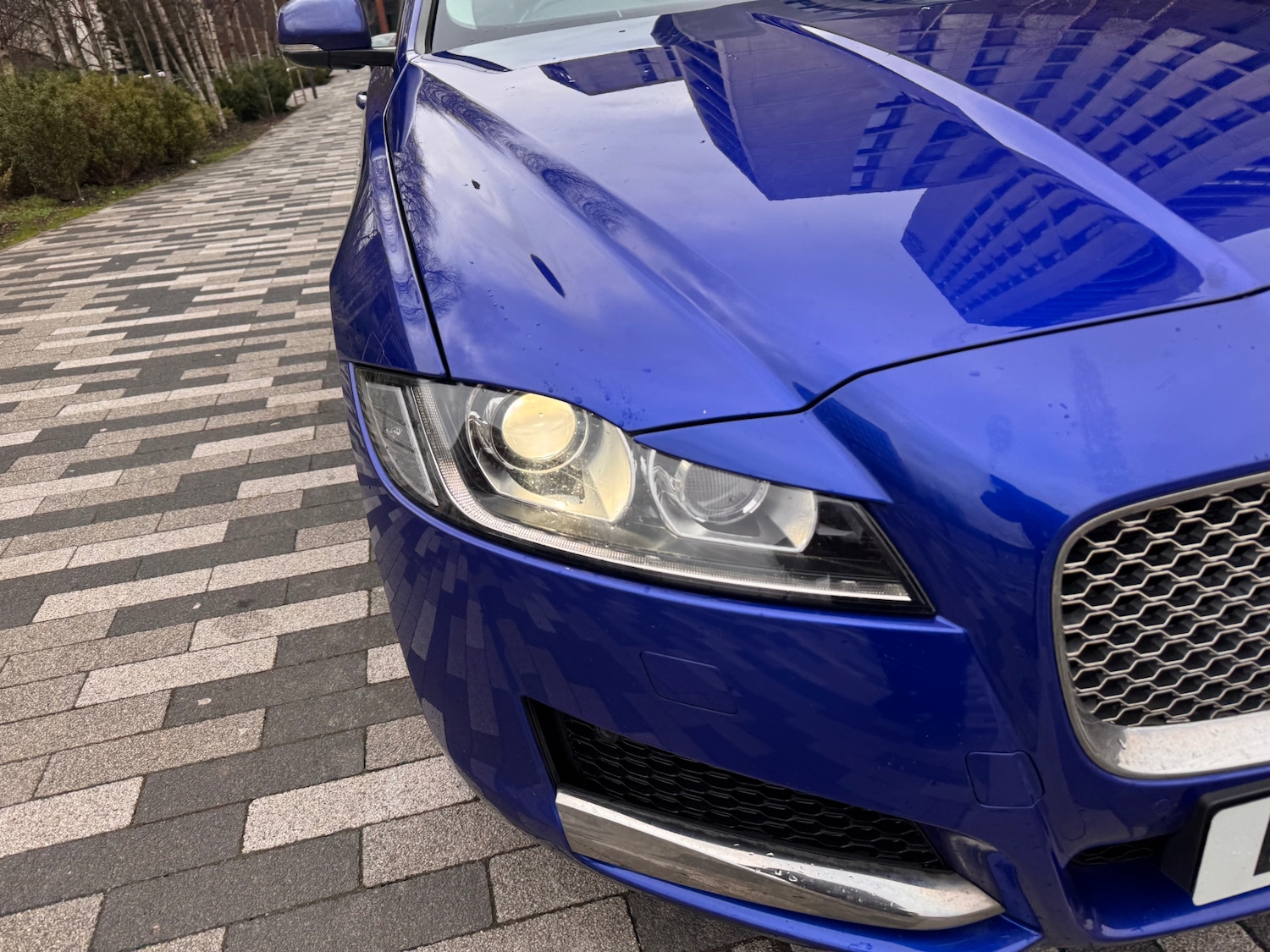 Used Jaguar XF 2017 for sale - 77484913: Photo 11