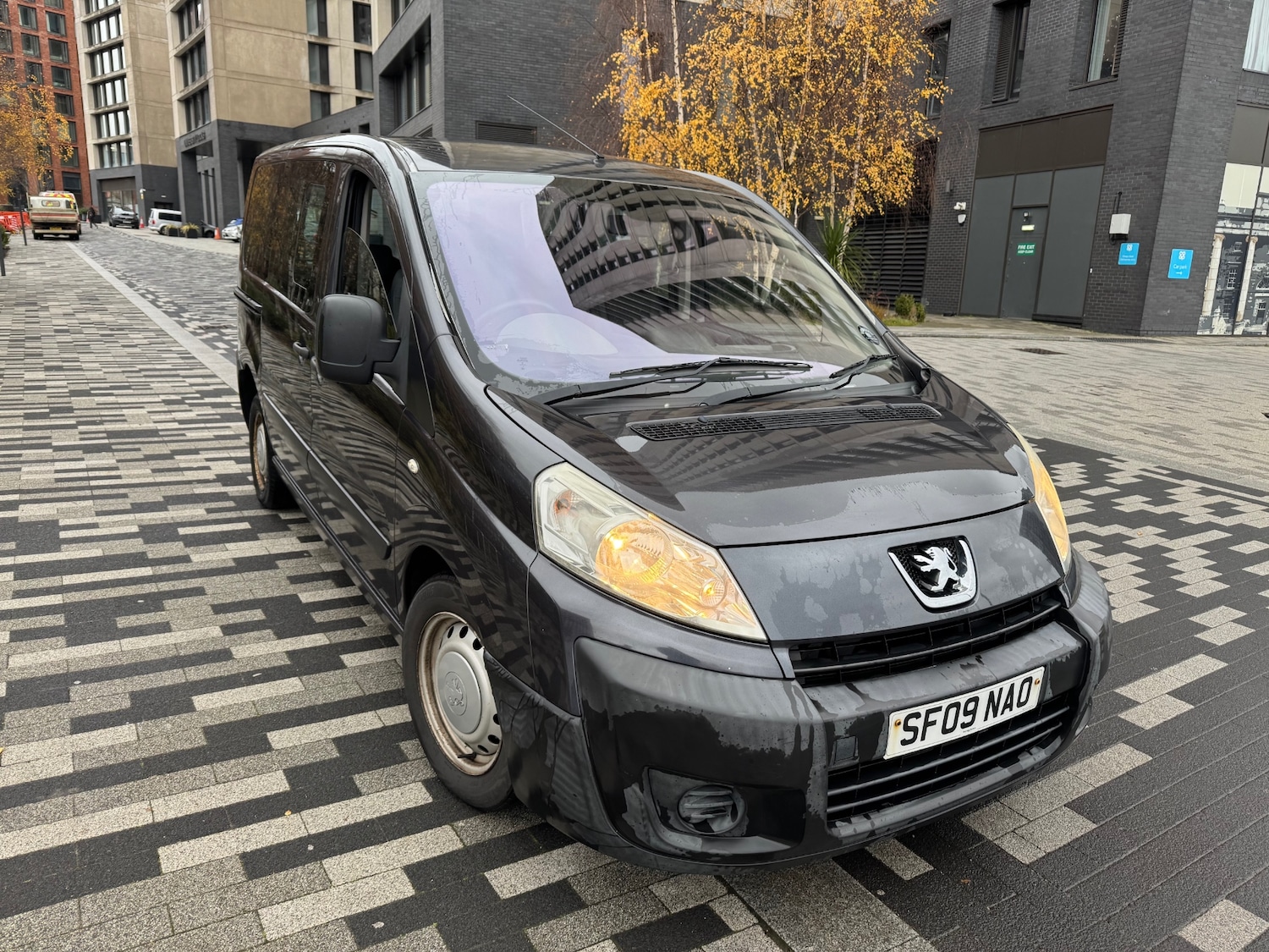 Used Peugeot Expert Tepee 2009 for sale - 76821899: Photo 1