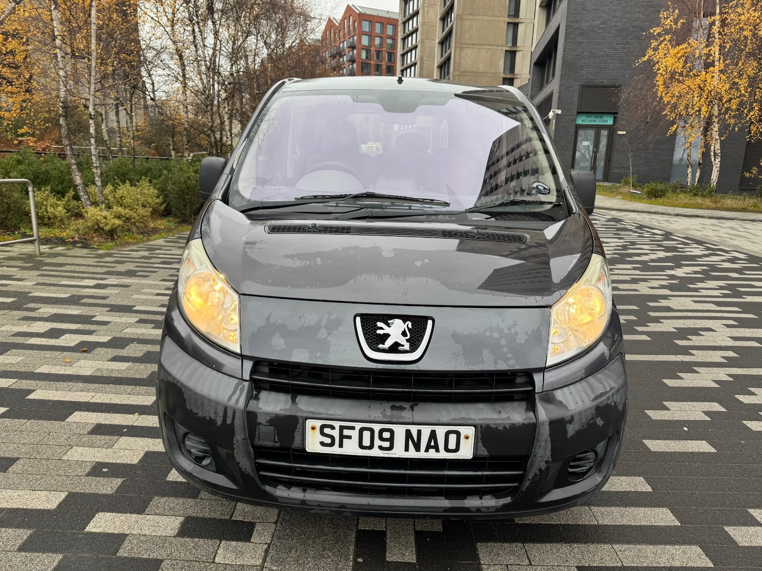 Used Peugeot Expert Tepee 2009 for sale - 76821899: Photo 2