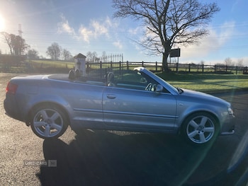 Used Audi A4 2009 for sale - 76966031: Photo