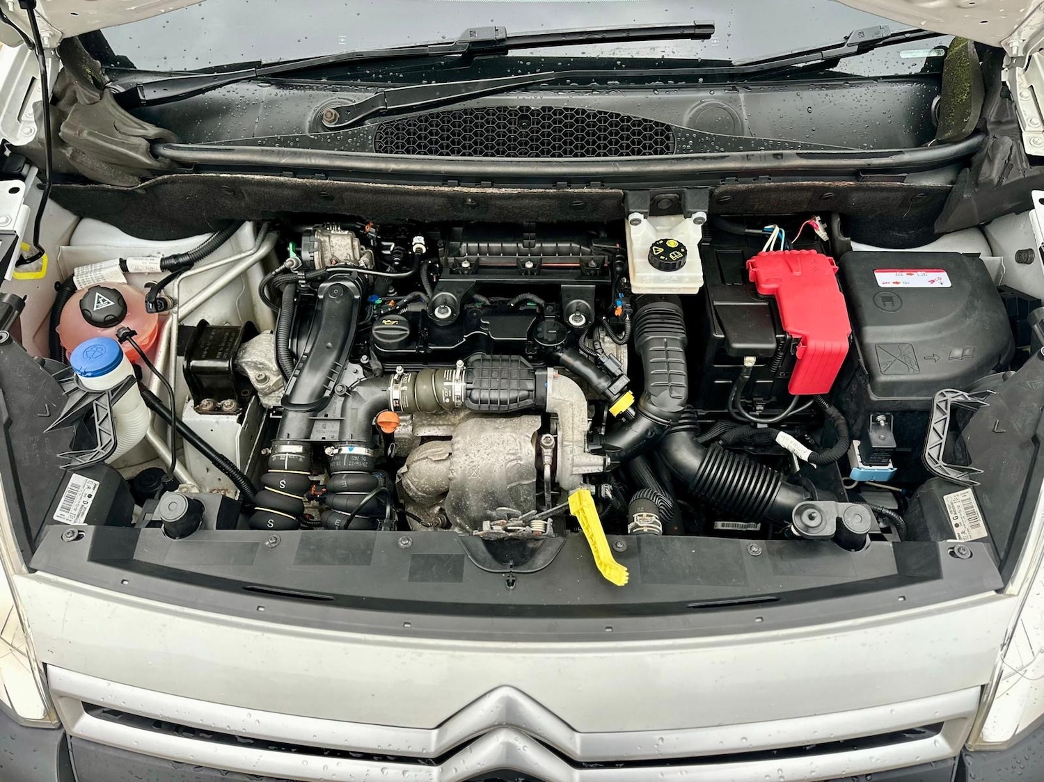 Used Citroen Berlingo 2017 for sale - 77416969: Photo 16