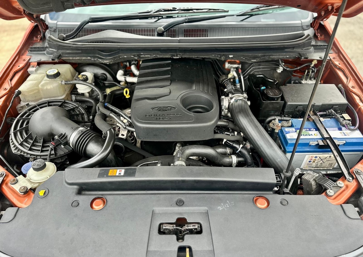 Used Ford Ranger 2015 for sale - 77416930: Photo 15