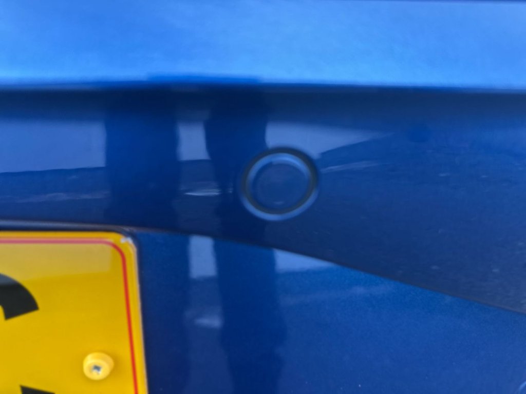 Used Volkswagen Polo 2023 for sale - 77072659: Photo 13