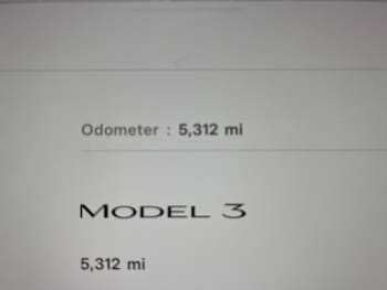 Used Tesla Model 3 2024 for sale - 75559678: Photo