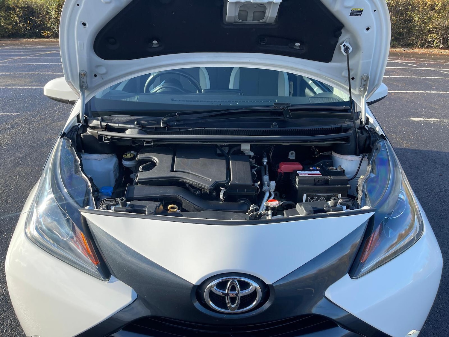 Used Toyota AYGO 2017 for sale - 76593430: Photo 30