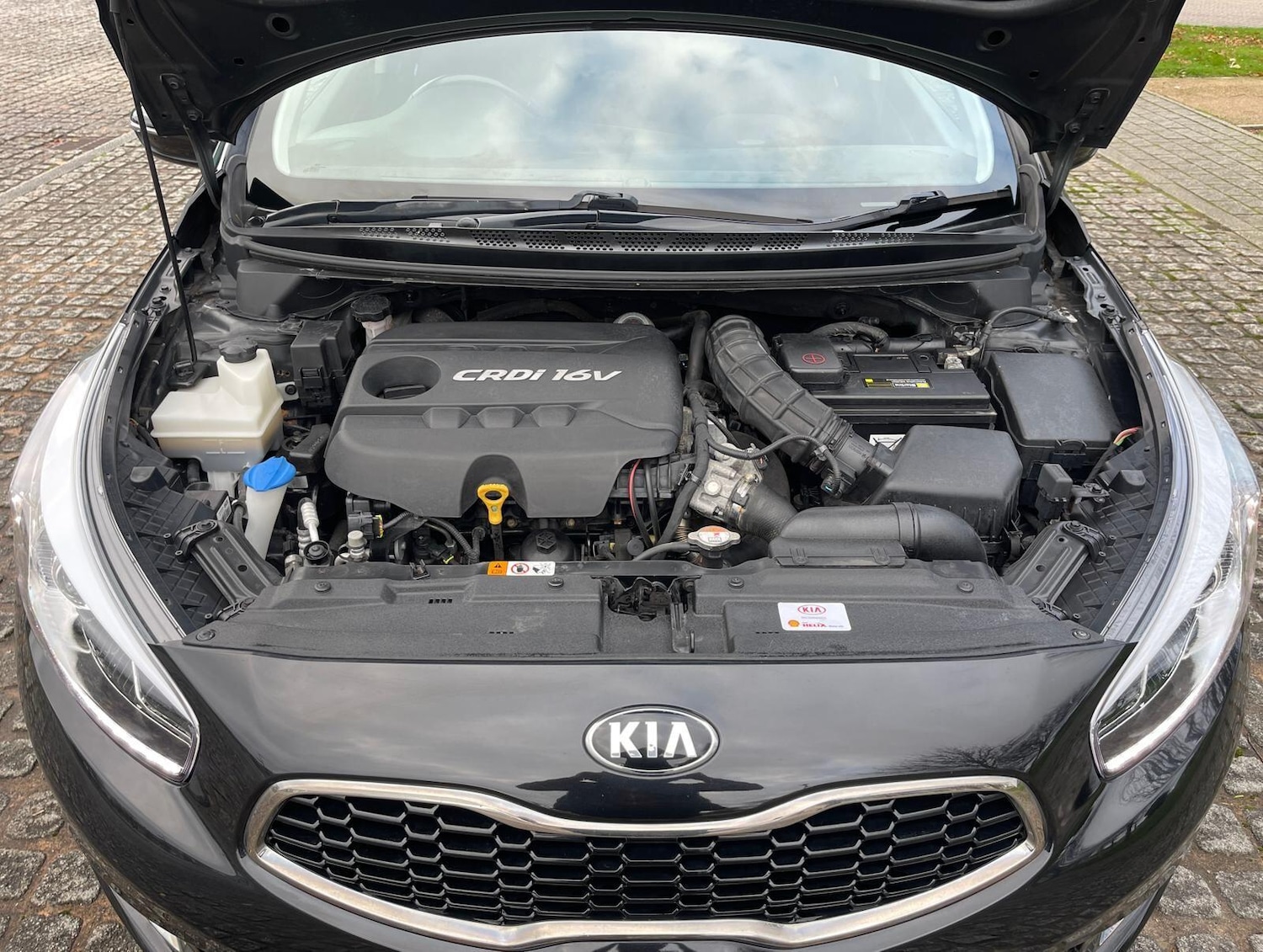 Used Kia Ceed 2014 for sale - 76623136: Photo 34